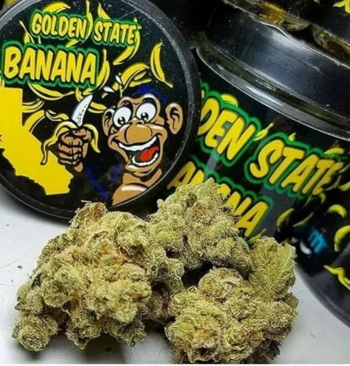 golden state banana strain