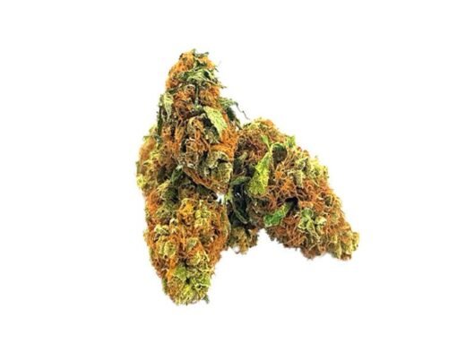Amnesia Haze Strain